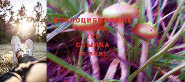 а пвп мука Алзамай